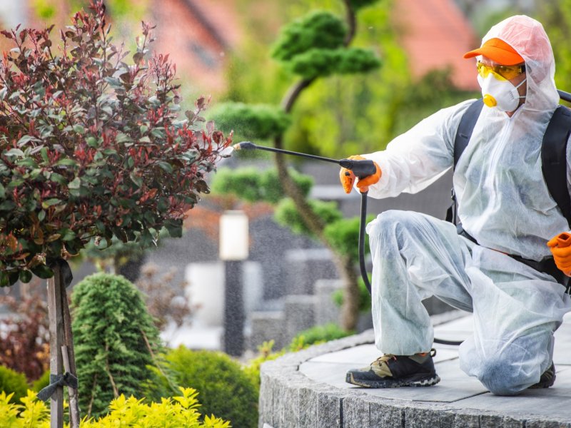 Simav Haşere İlaçlama